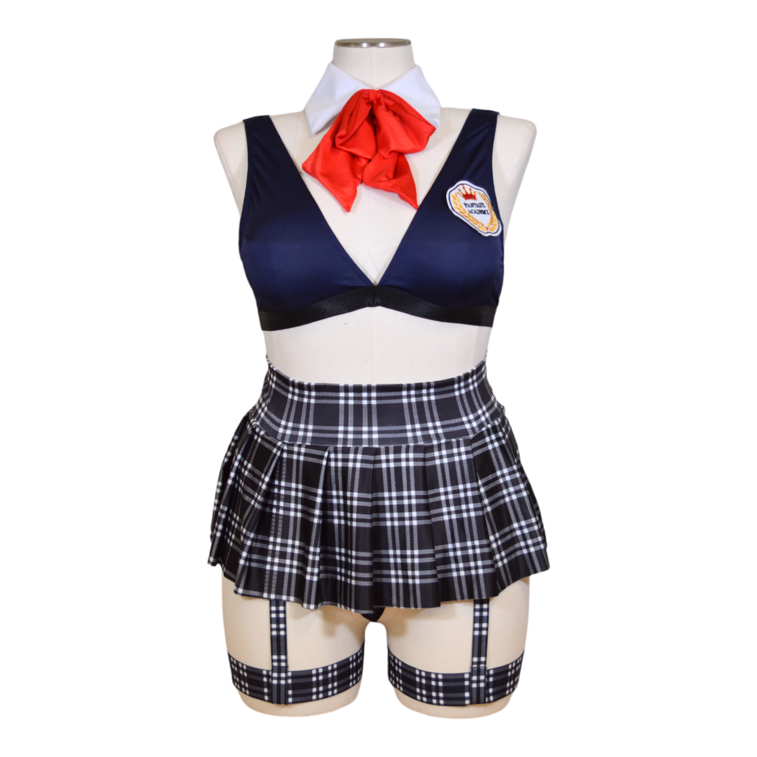 A school uniform ensemble consisting of a blue bralette with an academy patch, a pleated blue plaid skirt, matching leg garters, a g-string panty, and a red necktie.