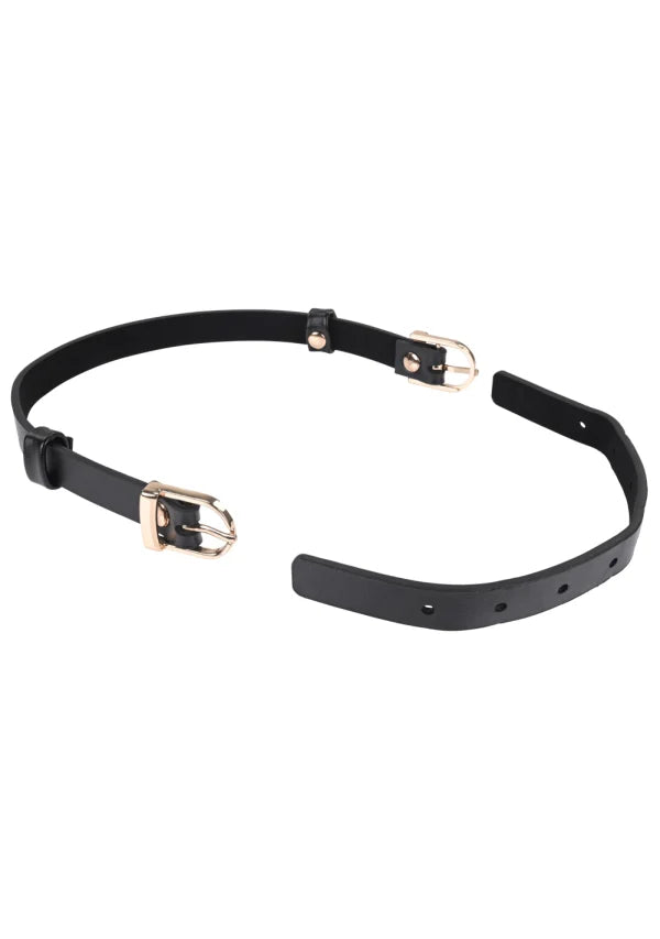 Sex & Mischief Double Buckle Day Collar -Black/Gold