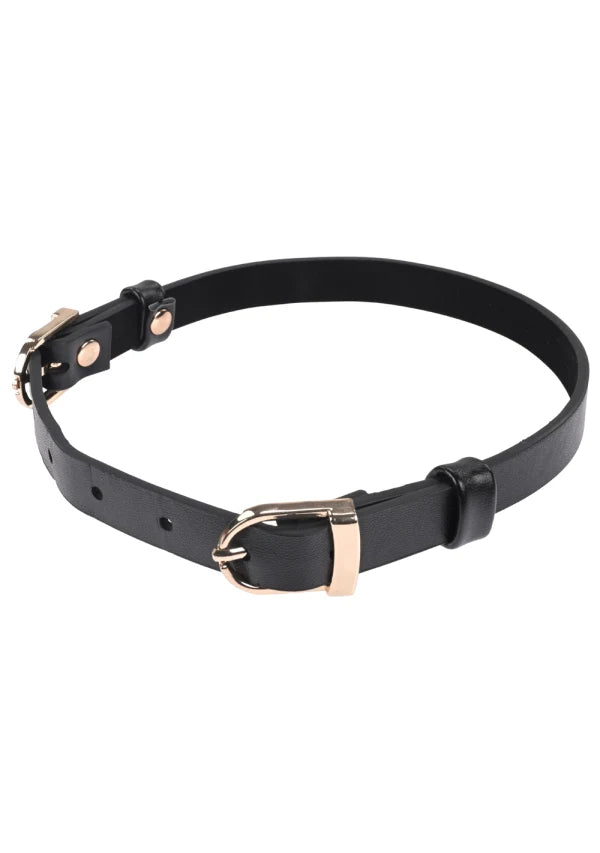 Sex & Mischief Double Buckle Day Collar -Black/Gold