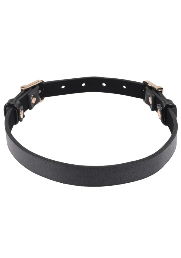 Sex & Mischief Double Buckle Day Collar -Black/Gold