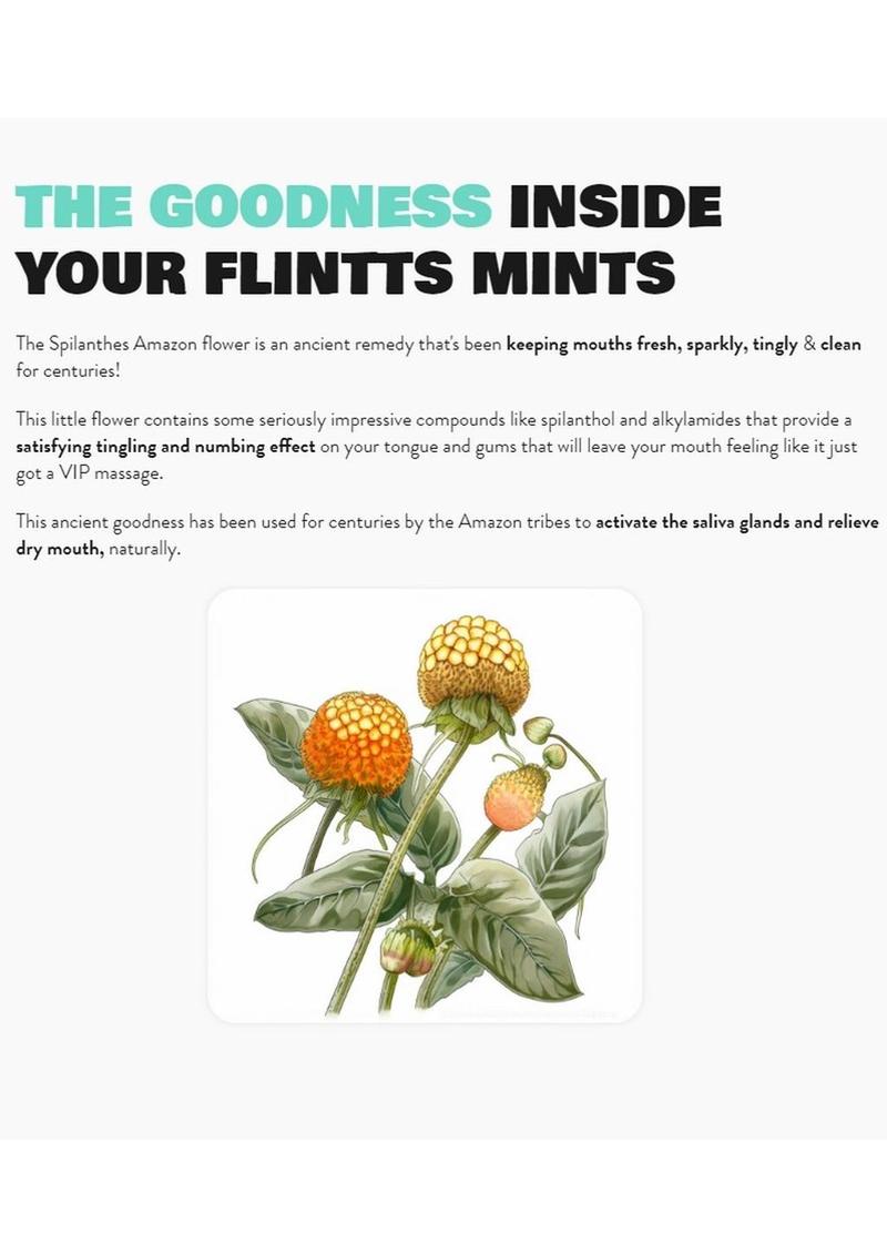Flintts Mints