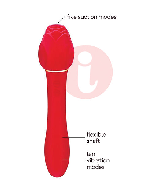 Wild Rose & Vibrator